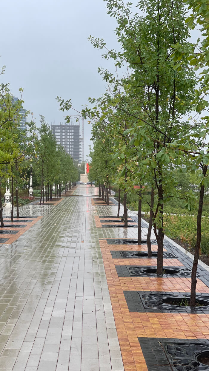 Приствольная решетка для дерева ZKING CRUST 1.2х1.2м Черная в Орле фото