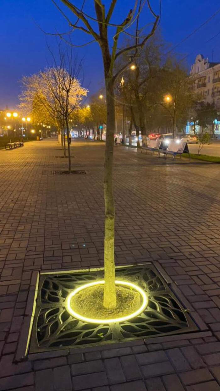 Приствольная решетка для дерева ZKING CRUST 1.2х1.2м Черная в Орле фото